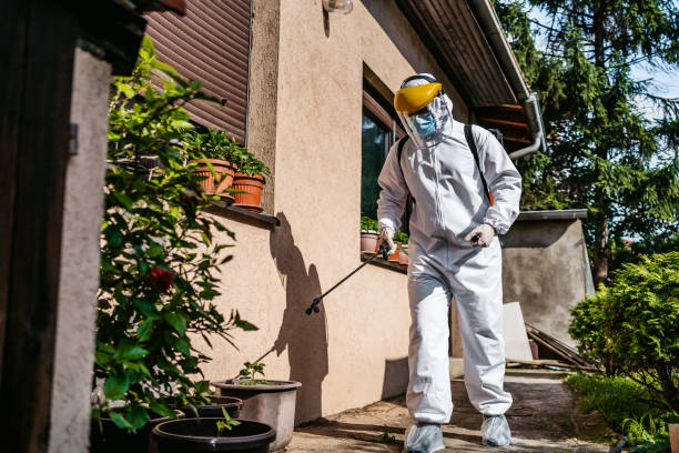 Bird Control in Somerset, TX