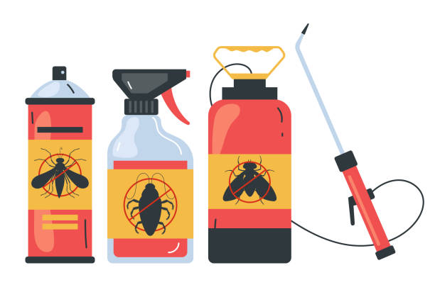 Professional Pest Control in Somerset, TX