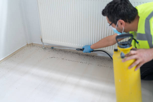 Pest Control Cost in Somerset, TX